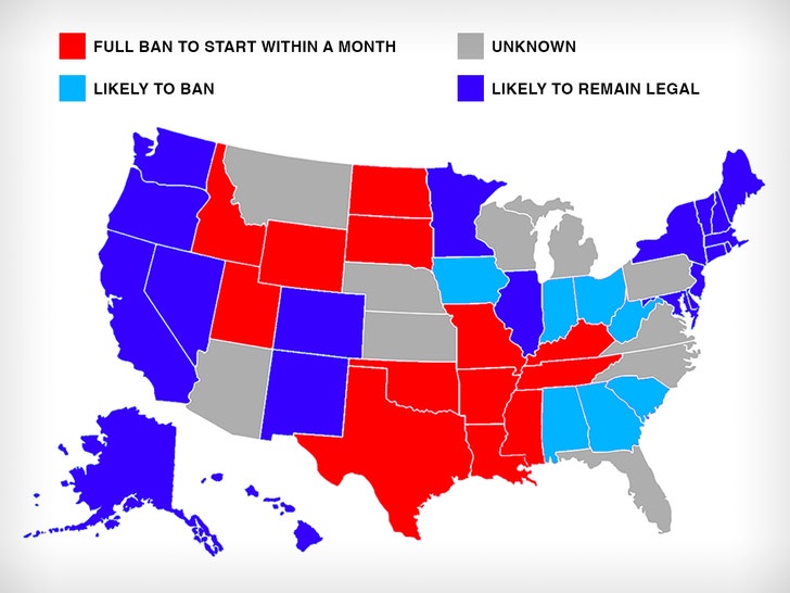 States abortion map 2022