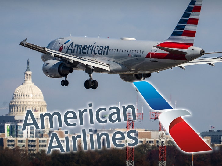 American Airlines Passengers Heard What Sounded Like Moaning Sex