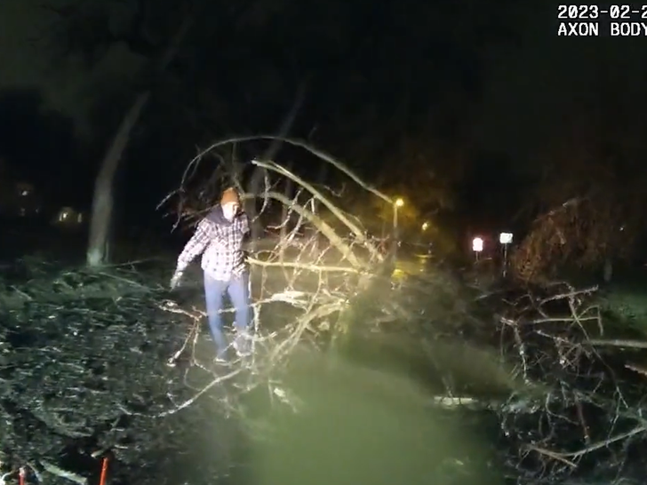 harbaugh carry tree