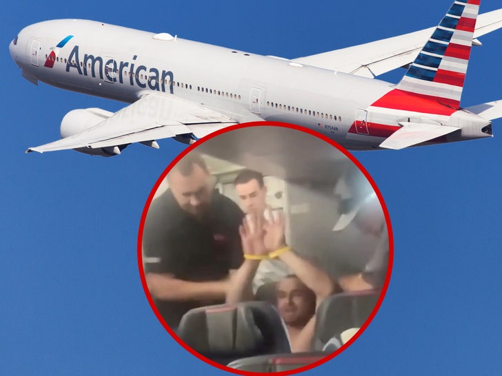 American Airlines flight passenger arrested