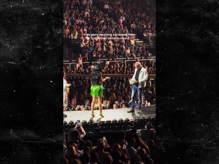 101425_katy_perry_propuesta_de_concierto_2135963