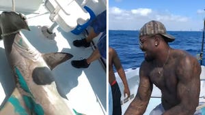 Von Miller Reels in Massive Hammerhead Shark in Miami