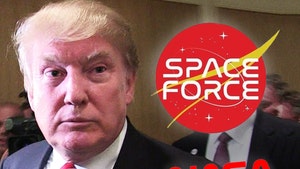 NASA Logo Designer Bashes Donald Trump's Space Force