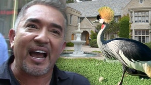 Cesar Millan Called in to Train Pissy African Crane Living at Playboy Mansion