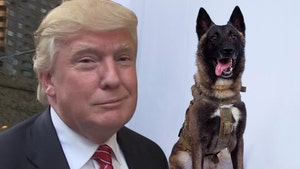 President Trump's Medal For ISIS-Killing Dog Conan Made by Special Ops