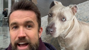 Rob McElhenney & Kaitlin Olson Rescue Dog, Reunite Him with Happy Family