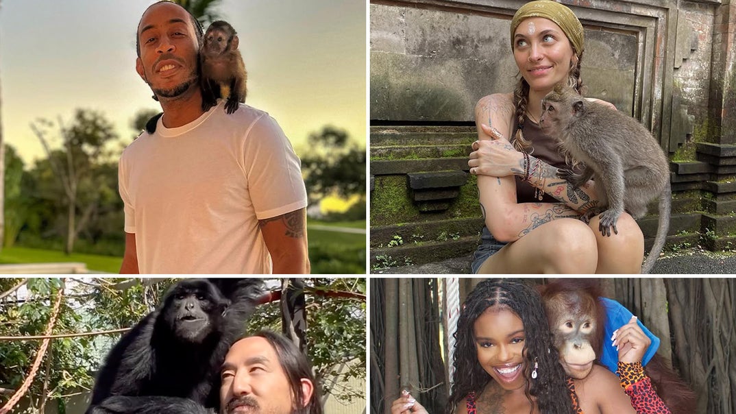 1028-Stars-With-Monkeys-PRIMARY