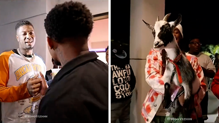 040826_ddg_party_stream_kal