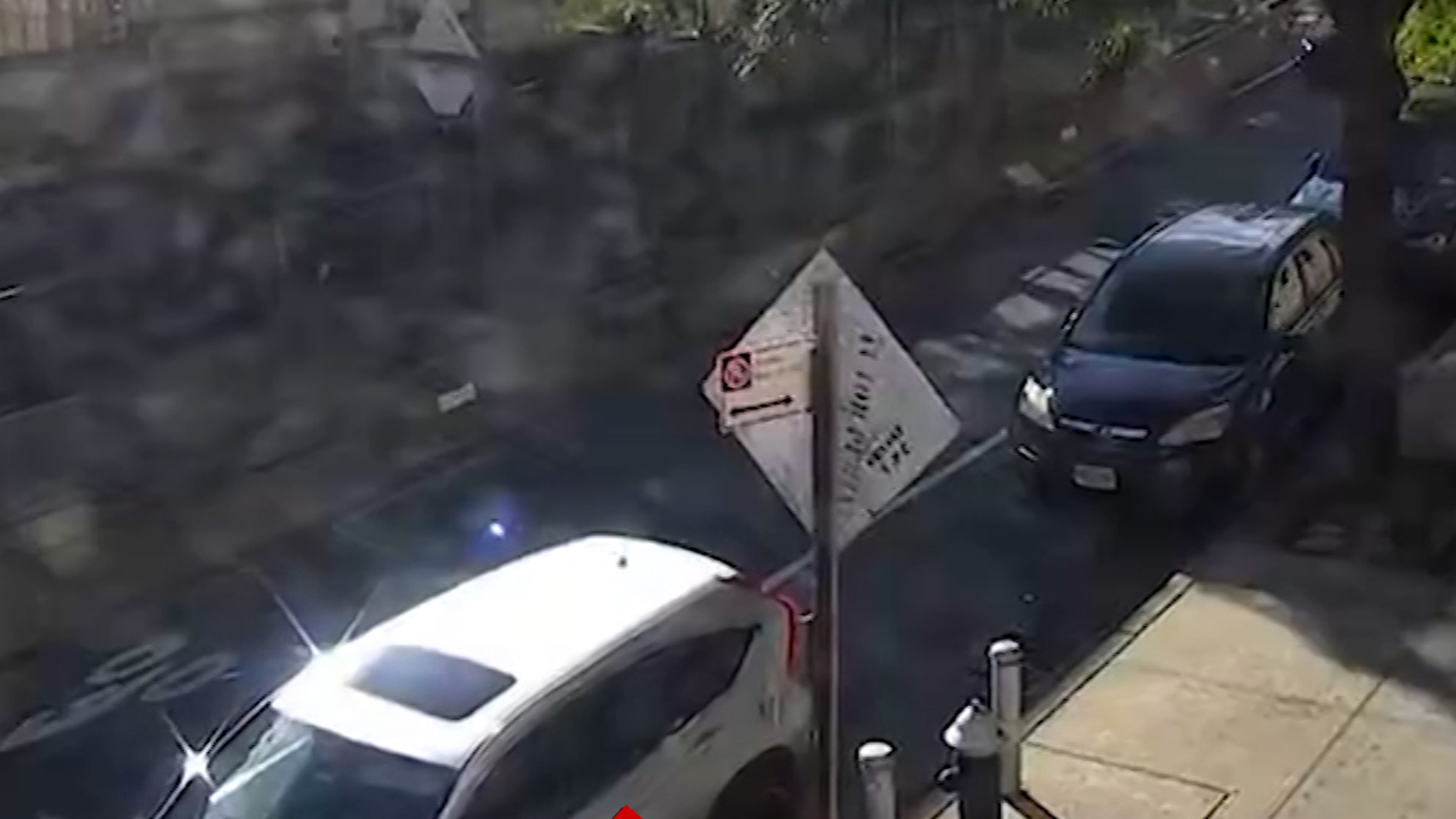 Dramatic Video Shows ICE Shooting in New York City