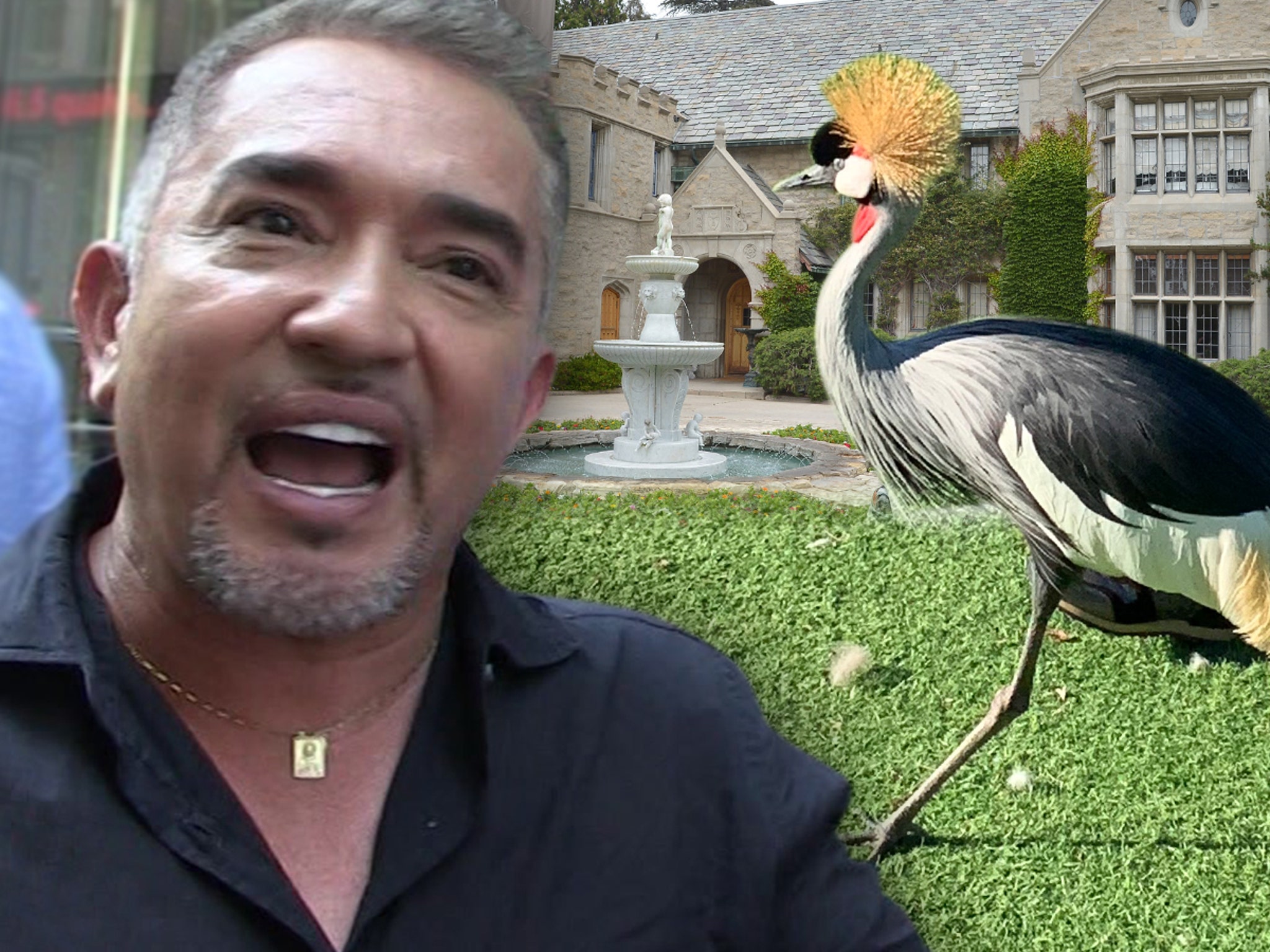 Cesar Millan Called in to Train Pissy African Crane Living at Playboy  Mansion