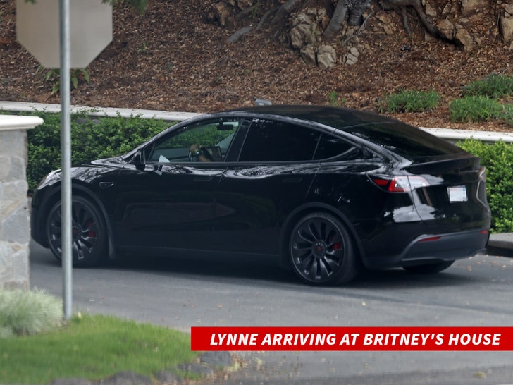 05fea991d7d742a9a8a0d655c0328434 md | Britney Spears' Mother Lynne Visits Her Daughter for the First Time in Years | The Paradise