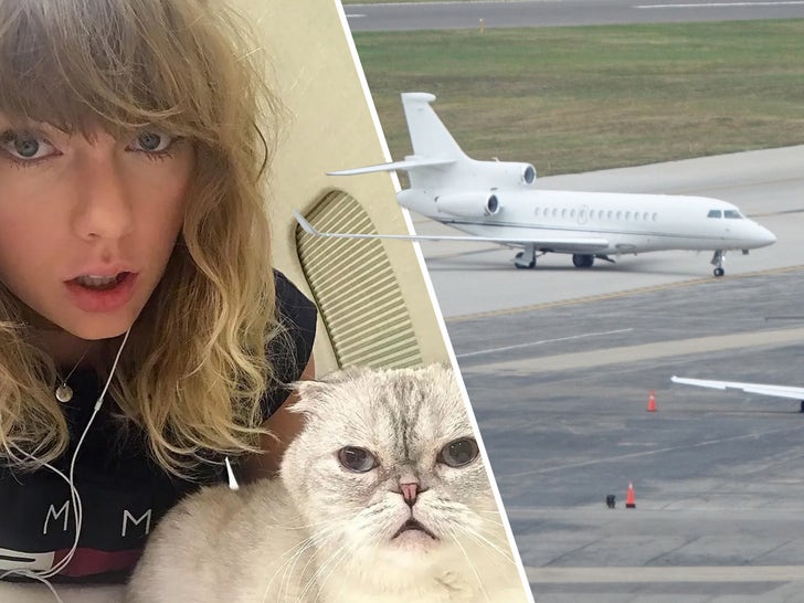 Taylor Swift's got a fleet of private jets at her disposal ... which she put to good use during her Eras Tour. T-Swift has two multi-million dollar planes, which she's used for over 100 flights this year alone ... with more trips likely on the way as her tour goes overseas.