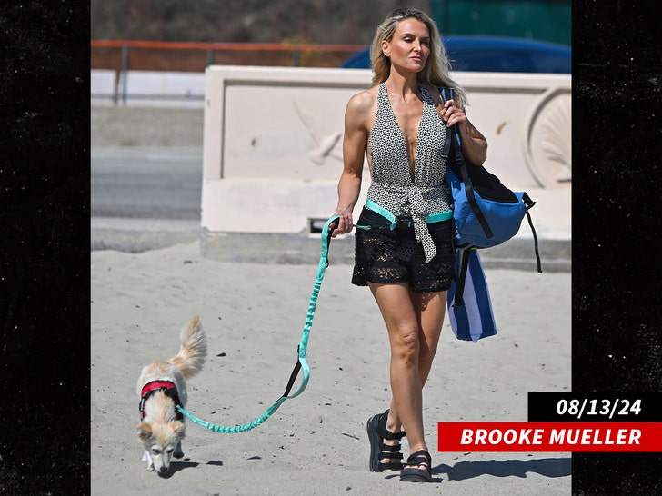 brooke mueller a malibu