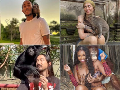 1028-Stars-With-Monkeys-PRIMARY