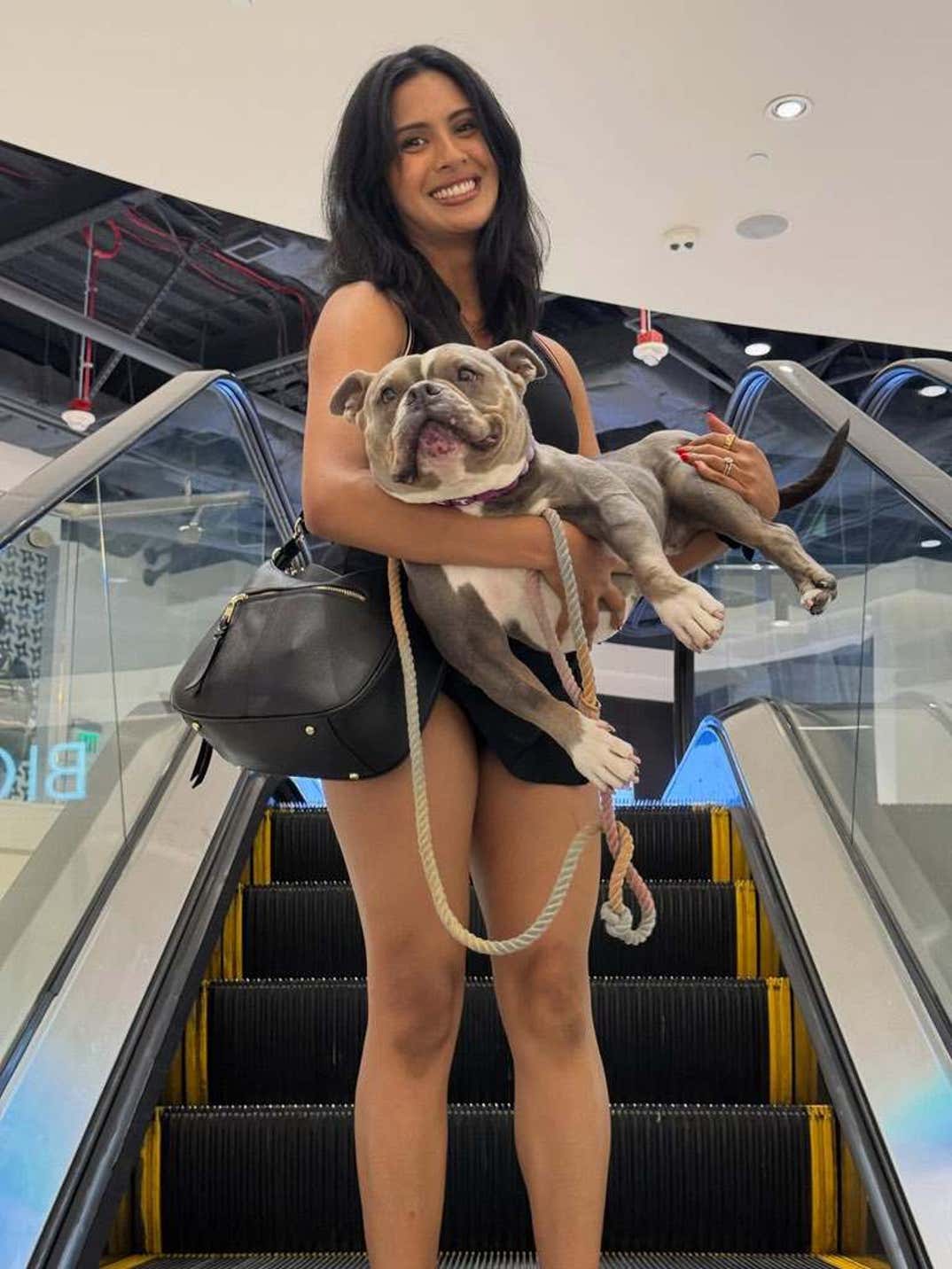 Sheamus Dog Betty 2