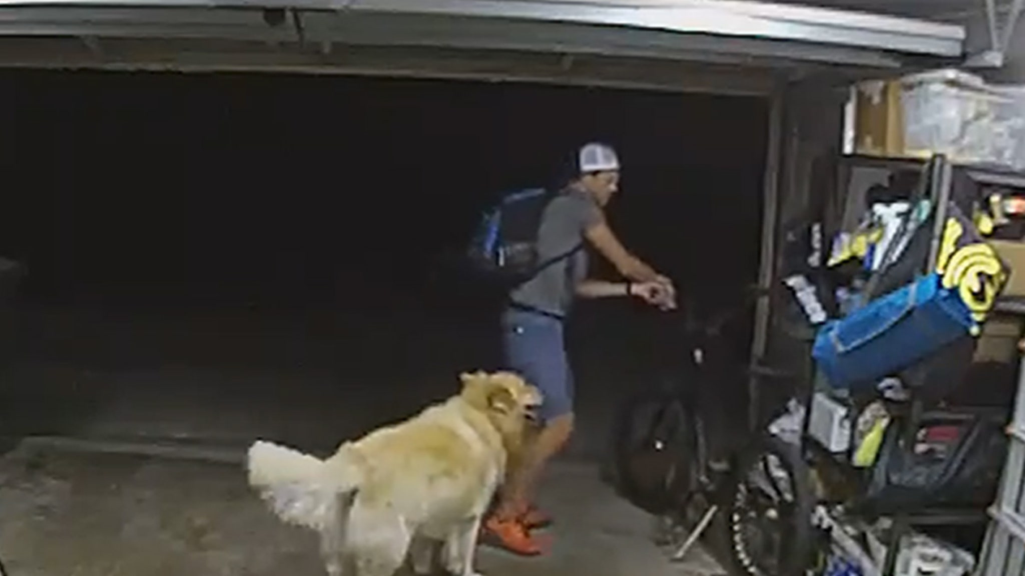 San Diego Bike Thief Briefly Distracted By Friendly Family Dog