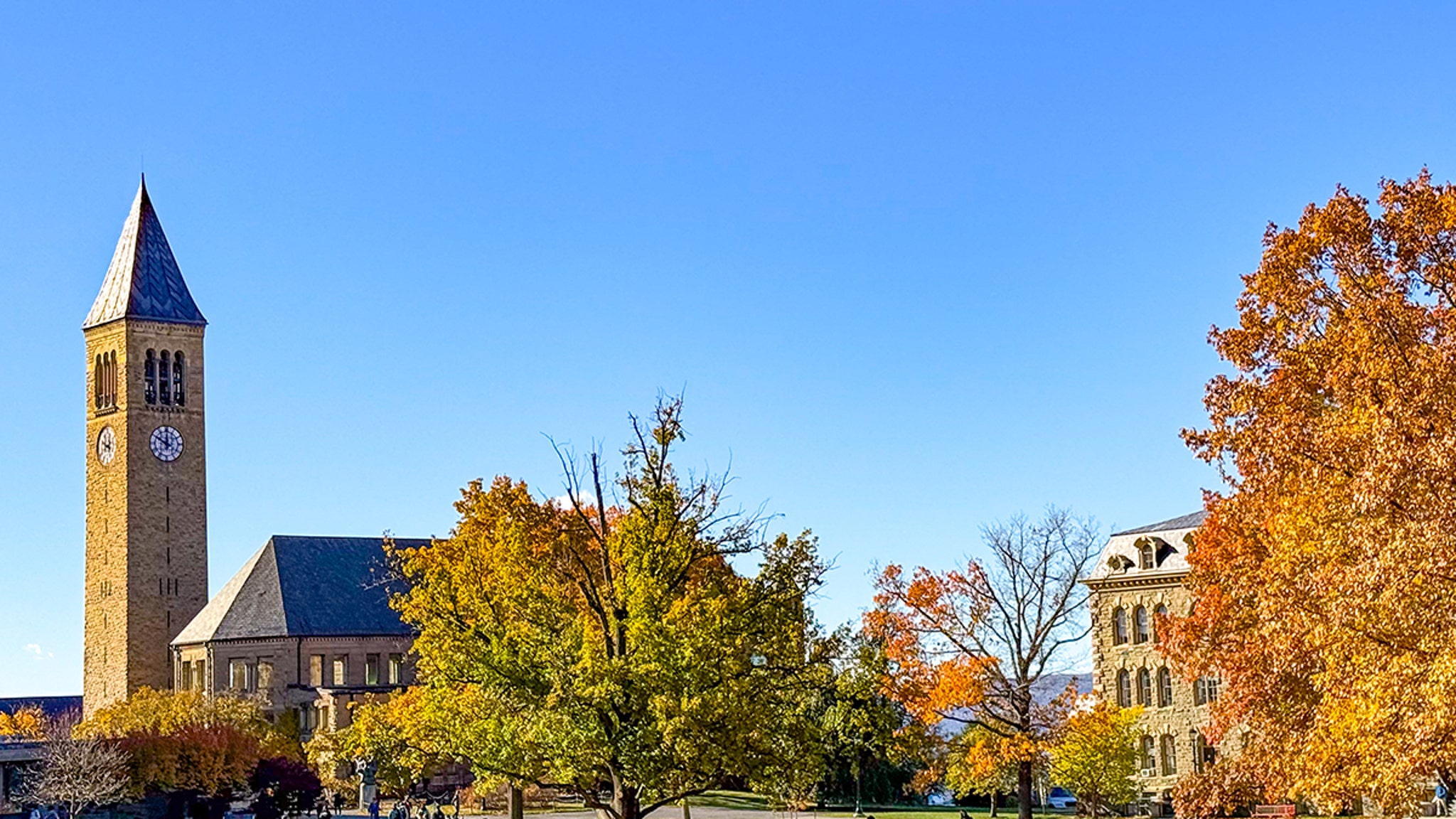 Cornell PD Email Shows Frustration with Officials Ignoring Frat Drinking Violations