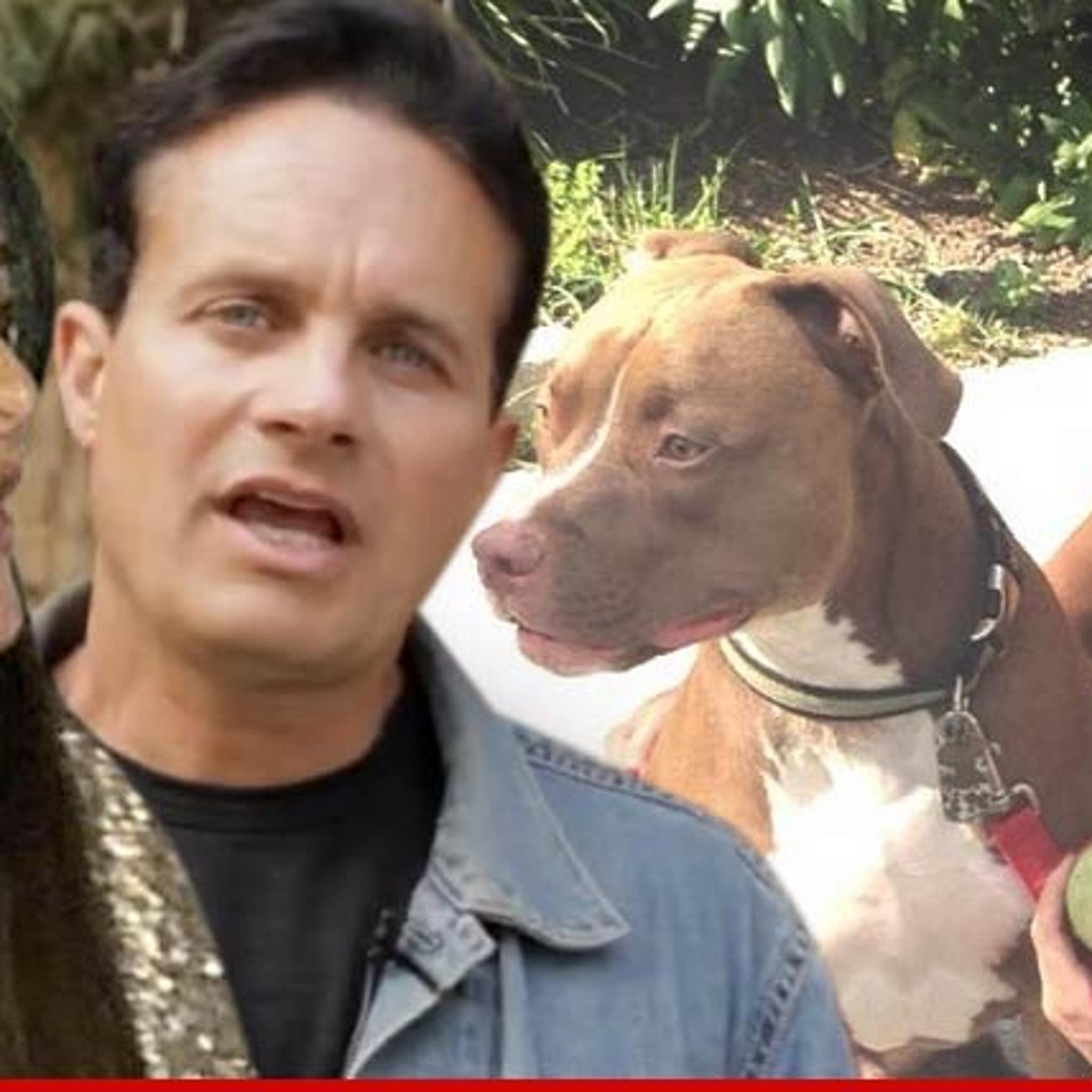 Kyle Richards Dog Trainer Says Sister Kim Is Unfit Pit Bull Owner To provide the most up to date,effective and enjoyable training solutions for. kyle richards dog trainer says