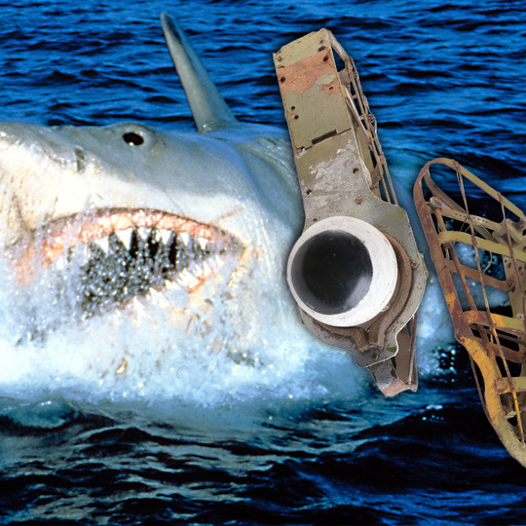 Jaws' Shark Eyes Hit Auction