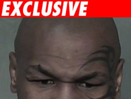 Mike Tyson mugshot
