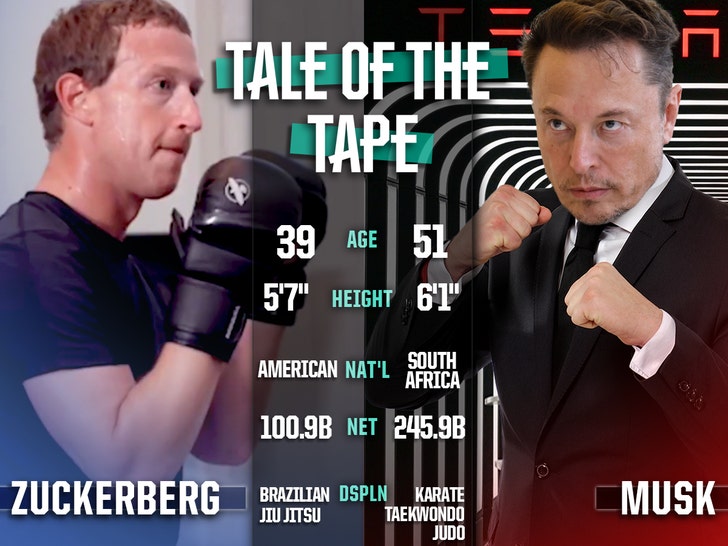 Mark Zuckerberg counters Elon Musk, says he wants UFC to stage their fight