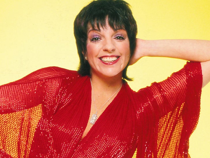Liza Minnelli Through The Years