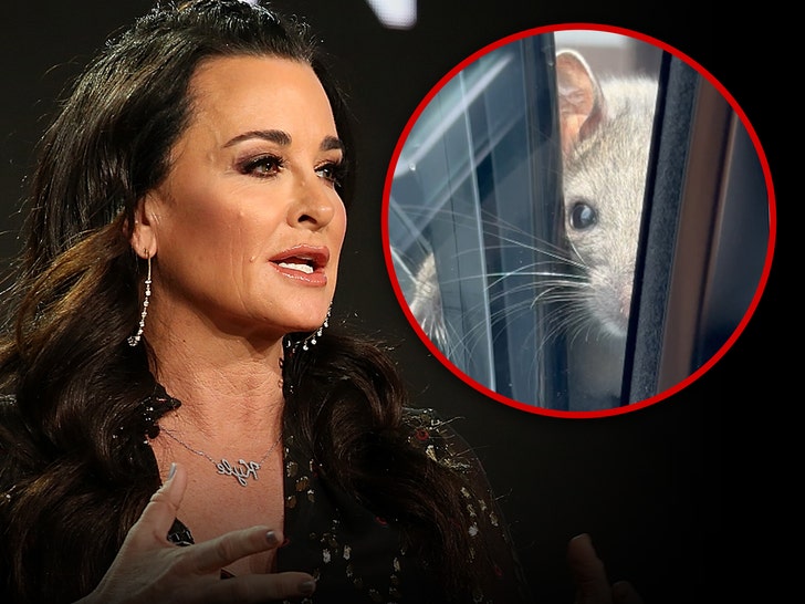 kyle richards and mouse