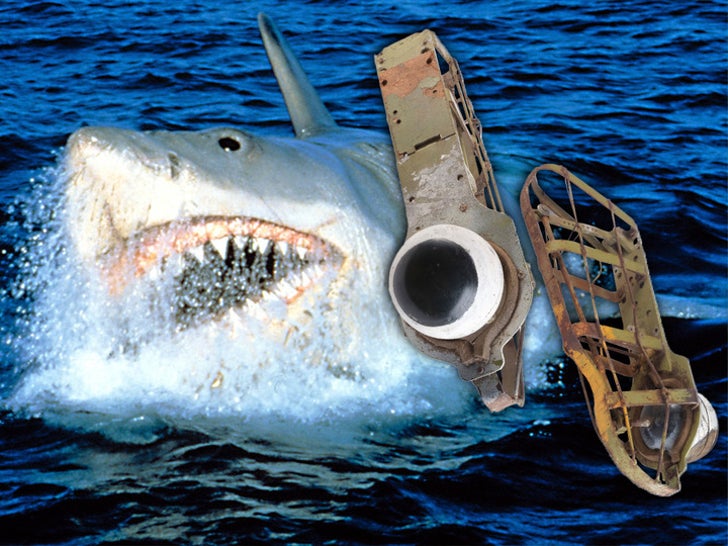 'Jaws' Shark Eyes Hit Auction