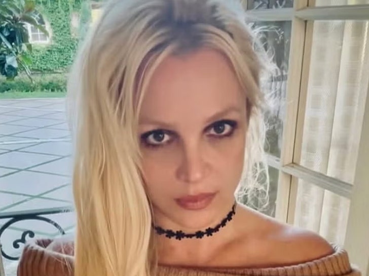 ইনস্টাগ্রামে ব্রিটনি স্পিয়ার্স 2