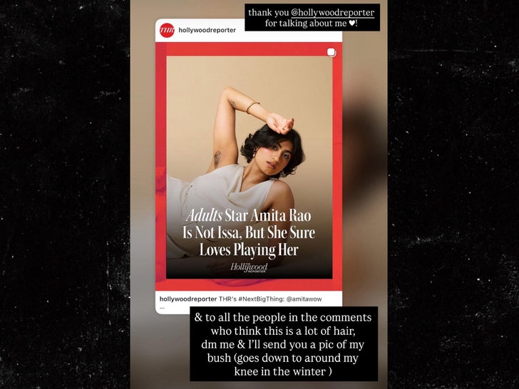 Amita Rao post Hollywood Reporter
