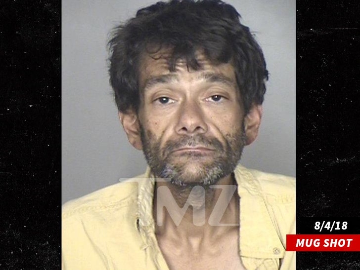 Mighty Ducks' Actor Shaun Weiss Checks Into Rehab After Arrest