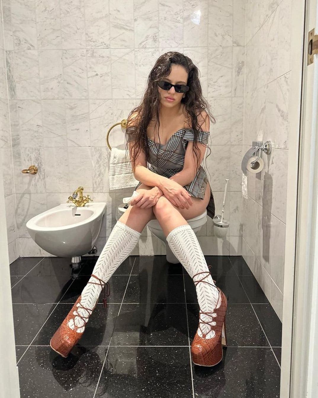 Celebrity Toilet Selfies