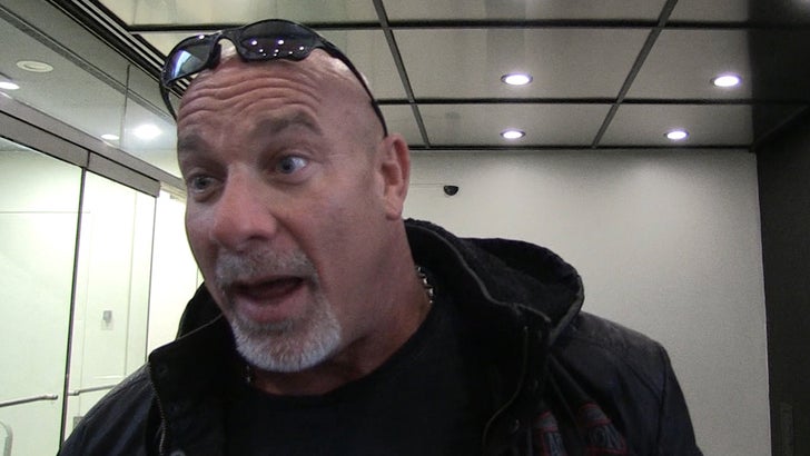 111516_bill_goldberg_kal