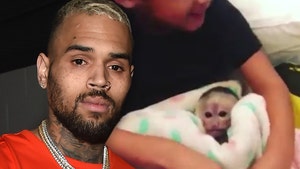 Chris Brown Strikes Deal in Monkey Case, Pays $35k Fine, PETA Responds