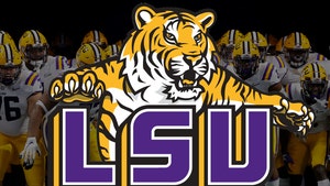 LSU Football Family Bus In Minor Crash, No Apparent Injuries