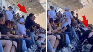 Fan Punches, Pushes Man Down Rows Of Seats During Brawl At Padres Game