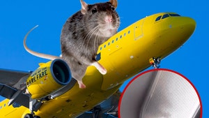 rat on spirit flight