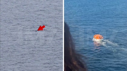 man-overboard-cruise-kal-11-20-2025