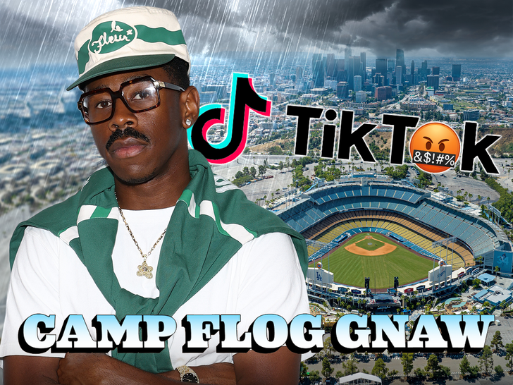 tyler the creator camp flog gnaw main getty