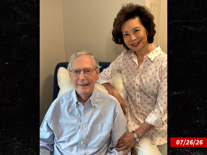 sub mitch mcconnell elaine chao swiped