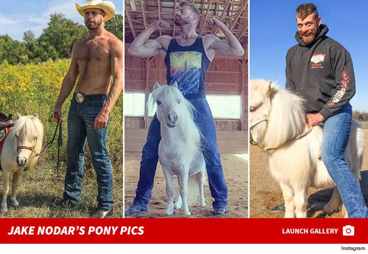 Jake Nodar's Awesome Pony Pics