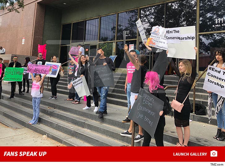 Britney Spears Fans Protest Outside Court
