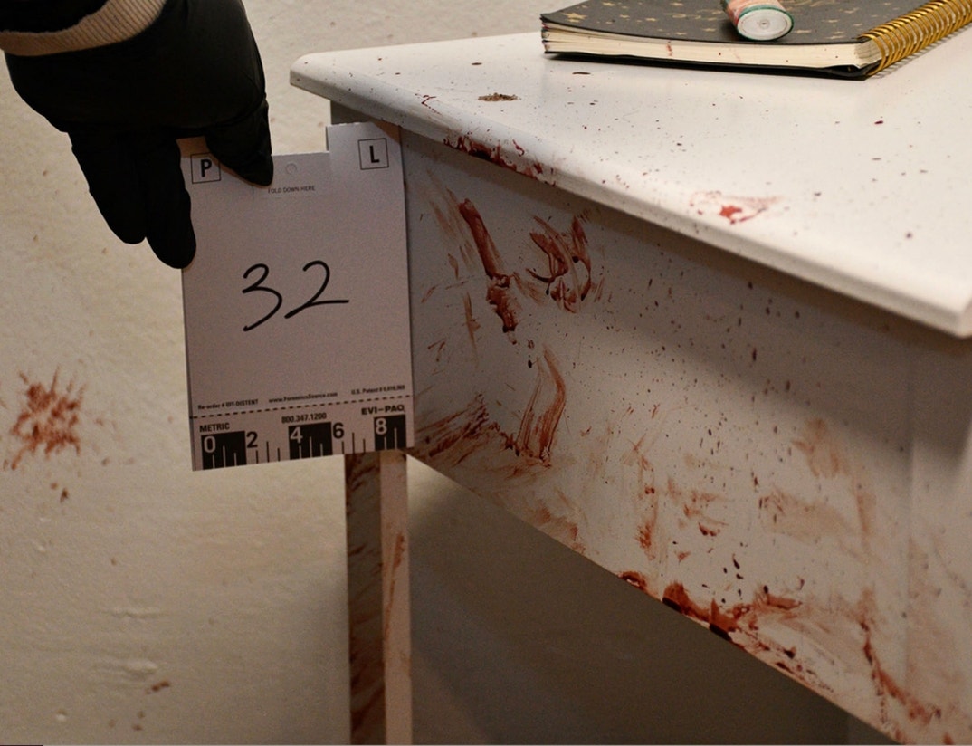 Bryan Kohberger Graphic Crime Scene Photos 13