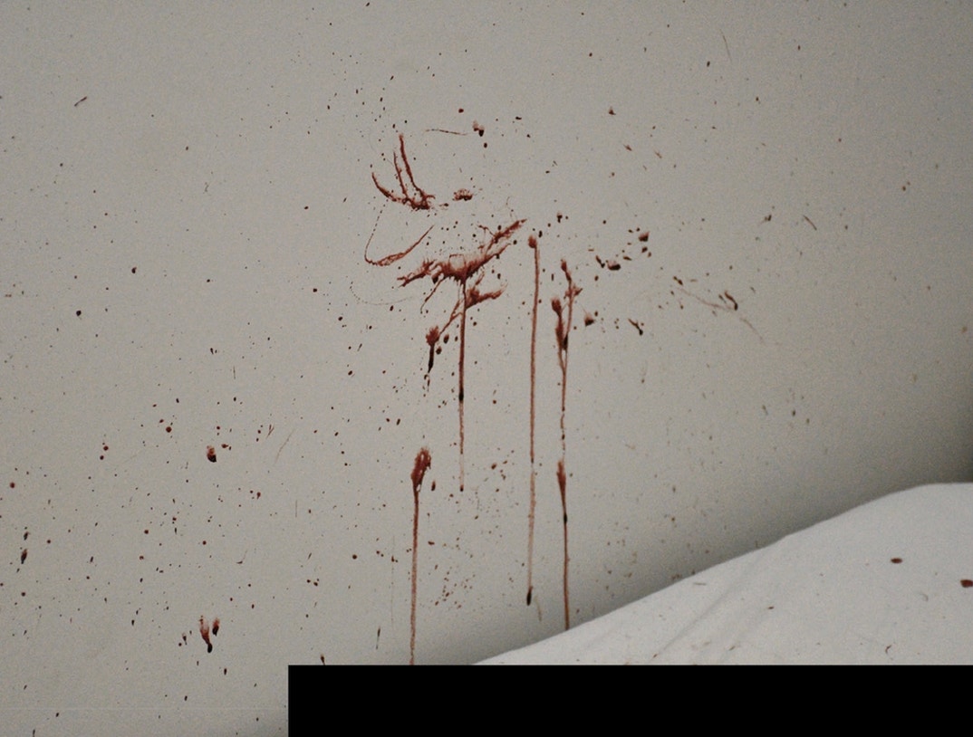 Bryan Kohberger Graphic Crime Scene Photos 3