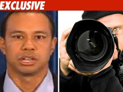 0219_tiger_photographer_ex