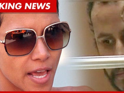 1128z_halle_stalker_BN_01