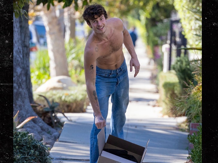 Shawn Mendes Steps Out Shirtless With a Big Smile on His Face