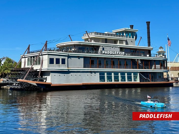 Paddlefish-IG-1