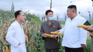 Kim Jong-un Visits Cornfield Following Reports of Coma