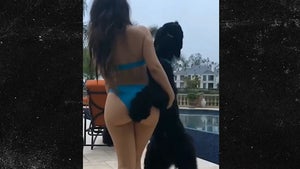 Instagram Model Deyana Mounira Sues Over Aroused Dog Photo Shoot